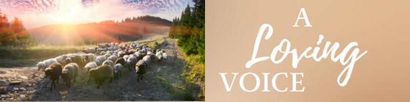A Loving Voice